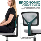 Green / Orange / Blue / Grey / Black / Pink Armless Swivel Desk Chair with Back Support – Single