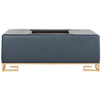 Cream/Gold & Navy/Gold Upholstered Tray Ottoman, Seats 1