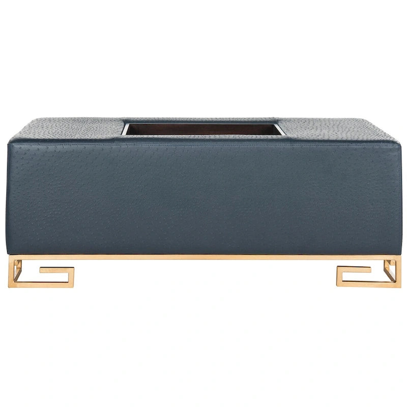Cream/Gold & Navy/Gold Upholstered Tray Ottoman, Seats 1